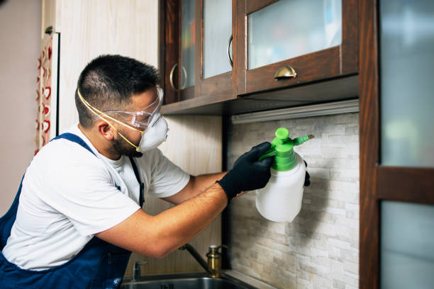 Best Best Pest Control Companies  in Pikeville, TN