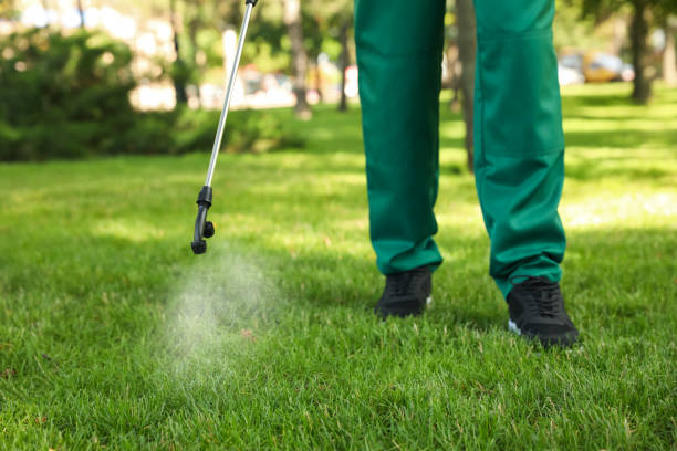 Best Wasp Removal Services  in Pikeville, TN