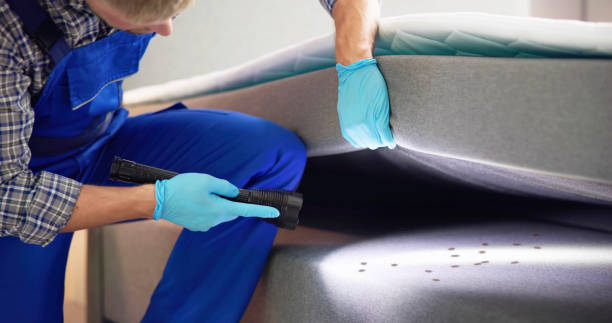 Best Pest Control for Restaurants  in Pikeville, TN