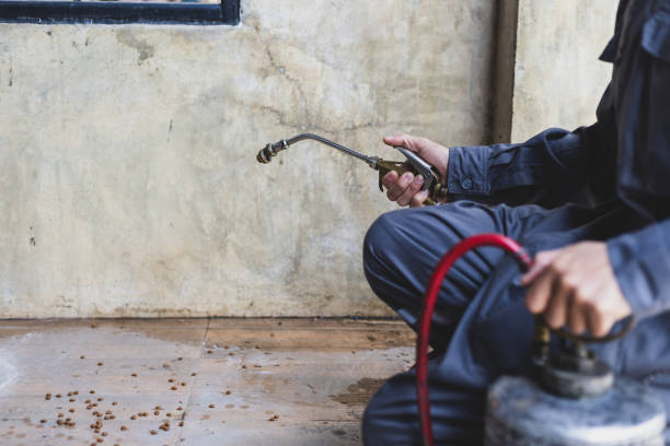 Best Affordable Exterminators  in Pikeville, TN